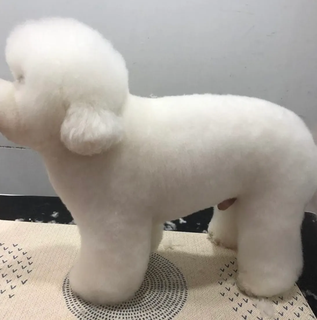 이미지 5