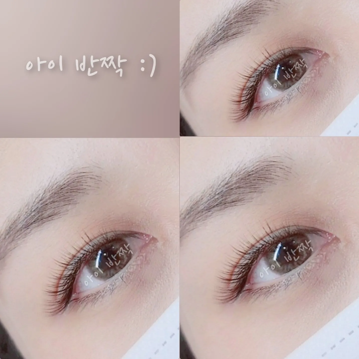 이미지 5