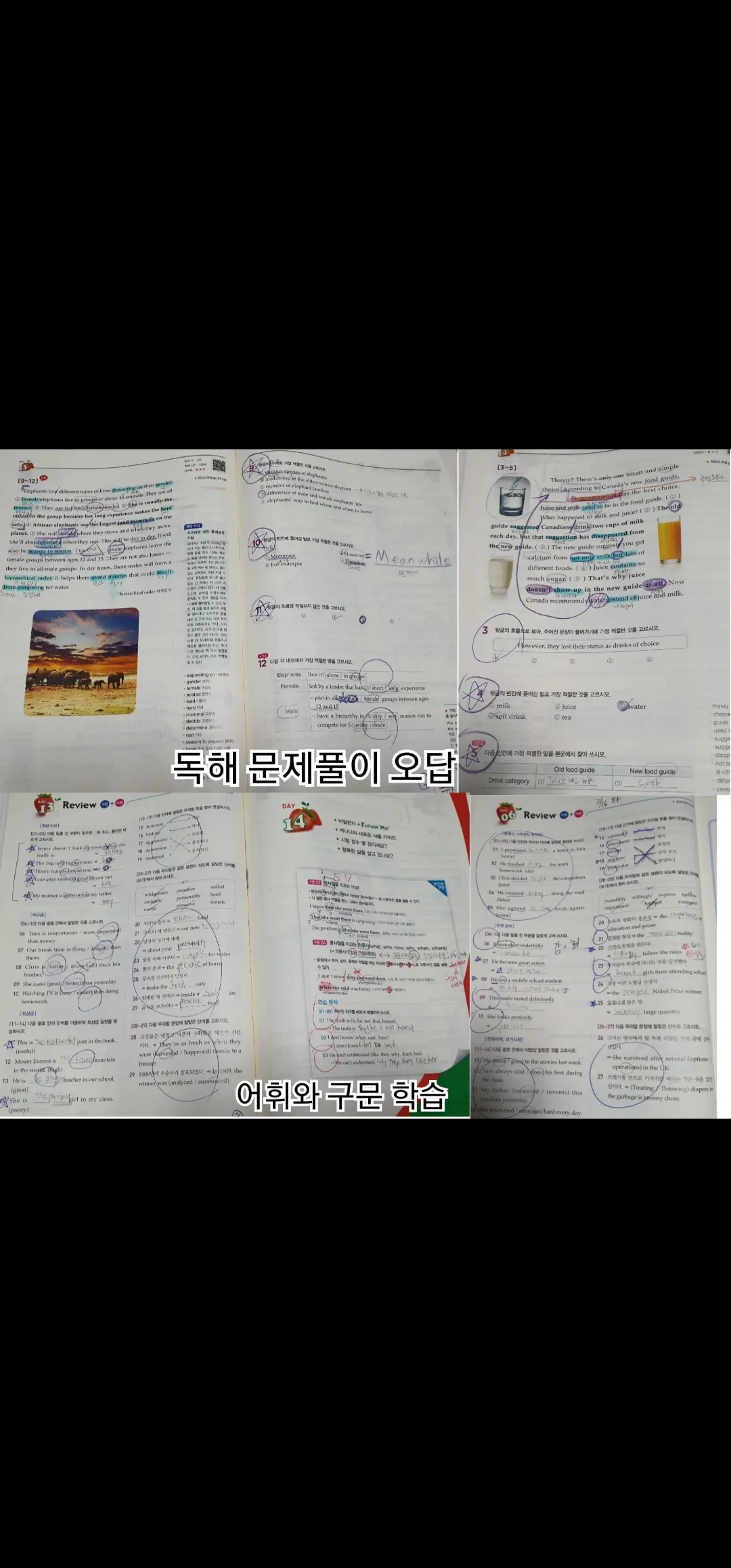 이미지 9
