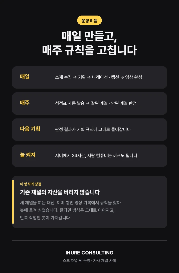 이미지 12