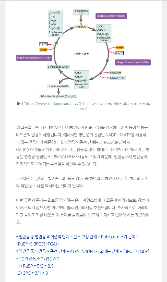 이미지 5