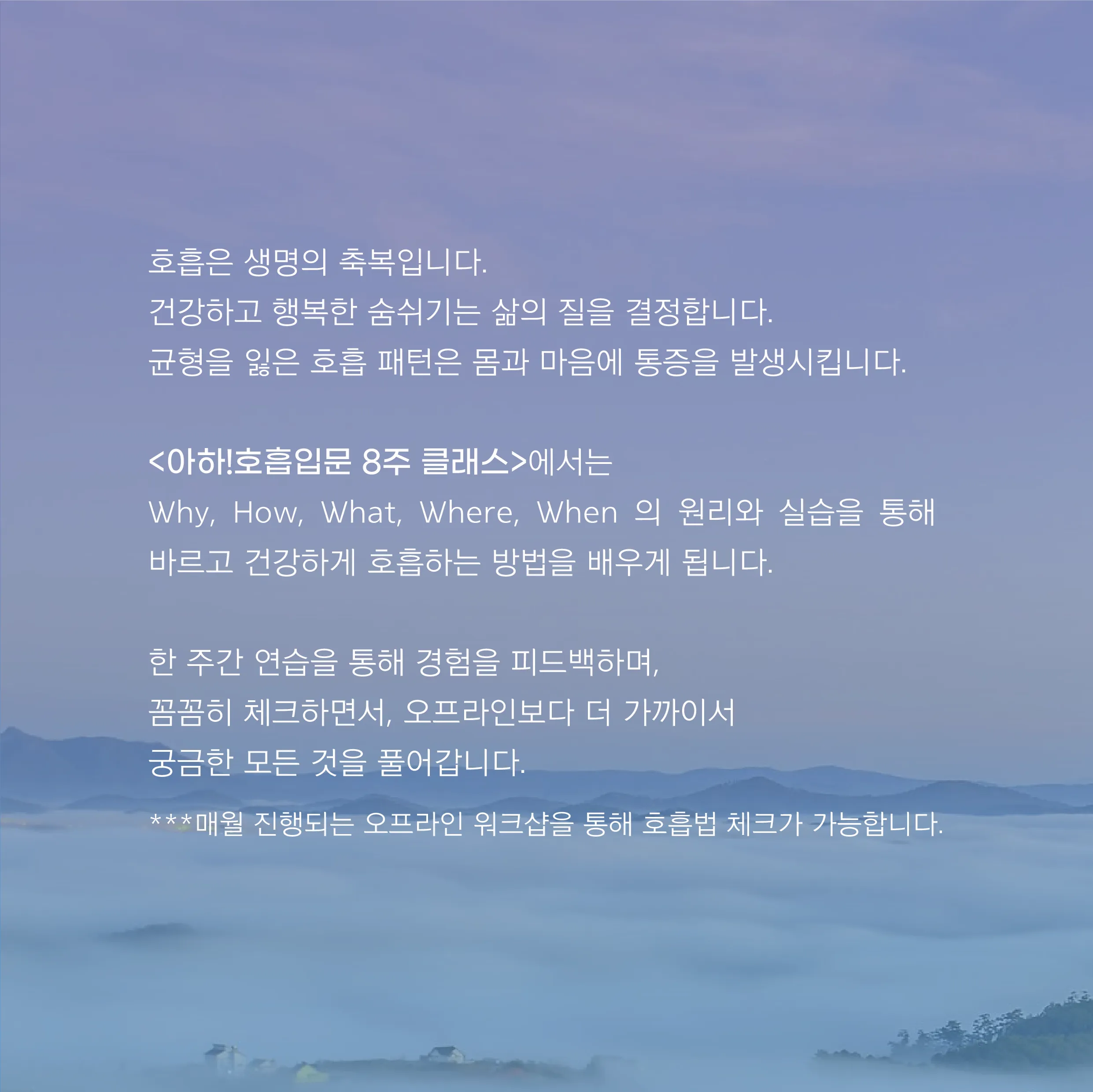 이미지 7