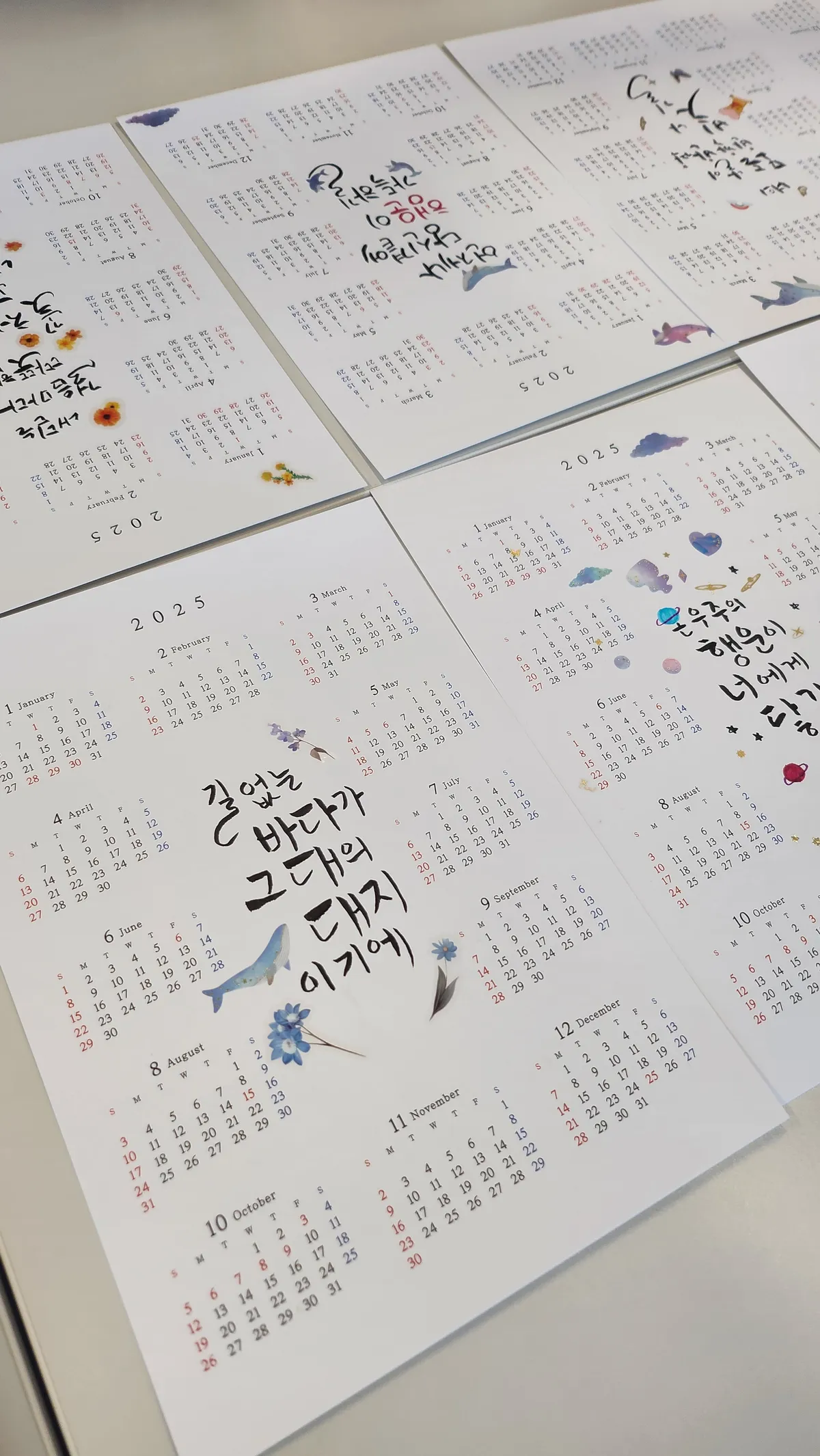 이미지 7