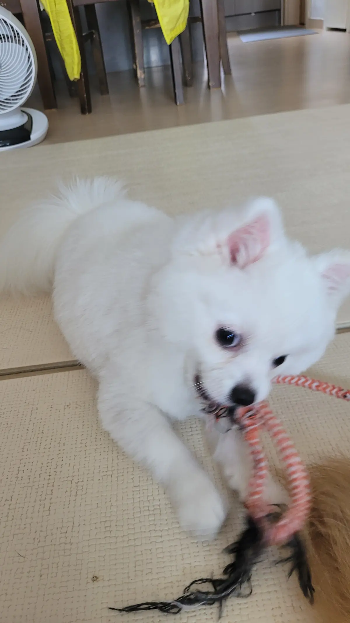 이미지 4