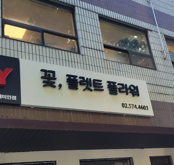 이미지 10