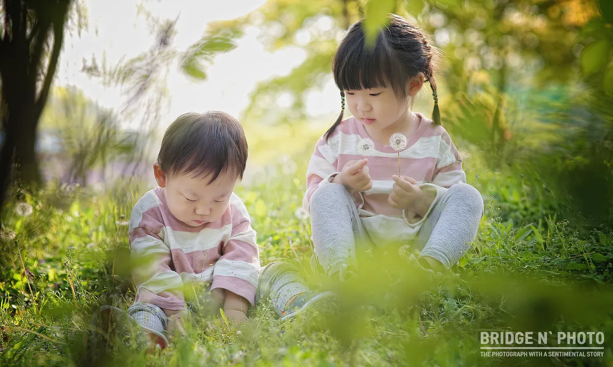 이미지 2