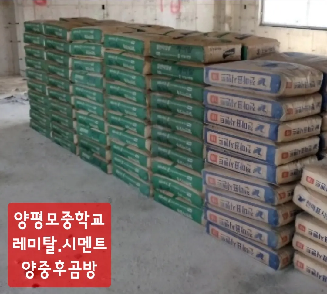 이미지 5