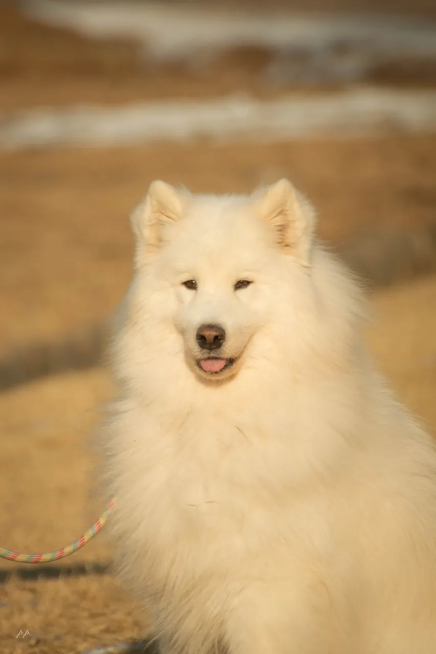 이미지 8