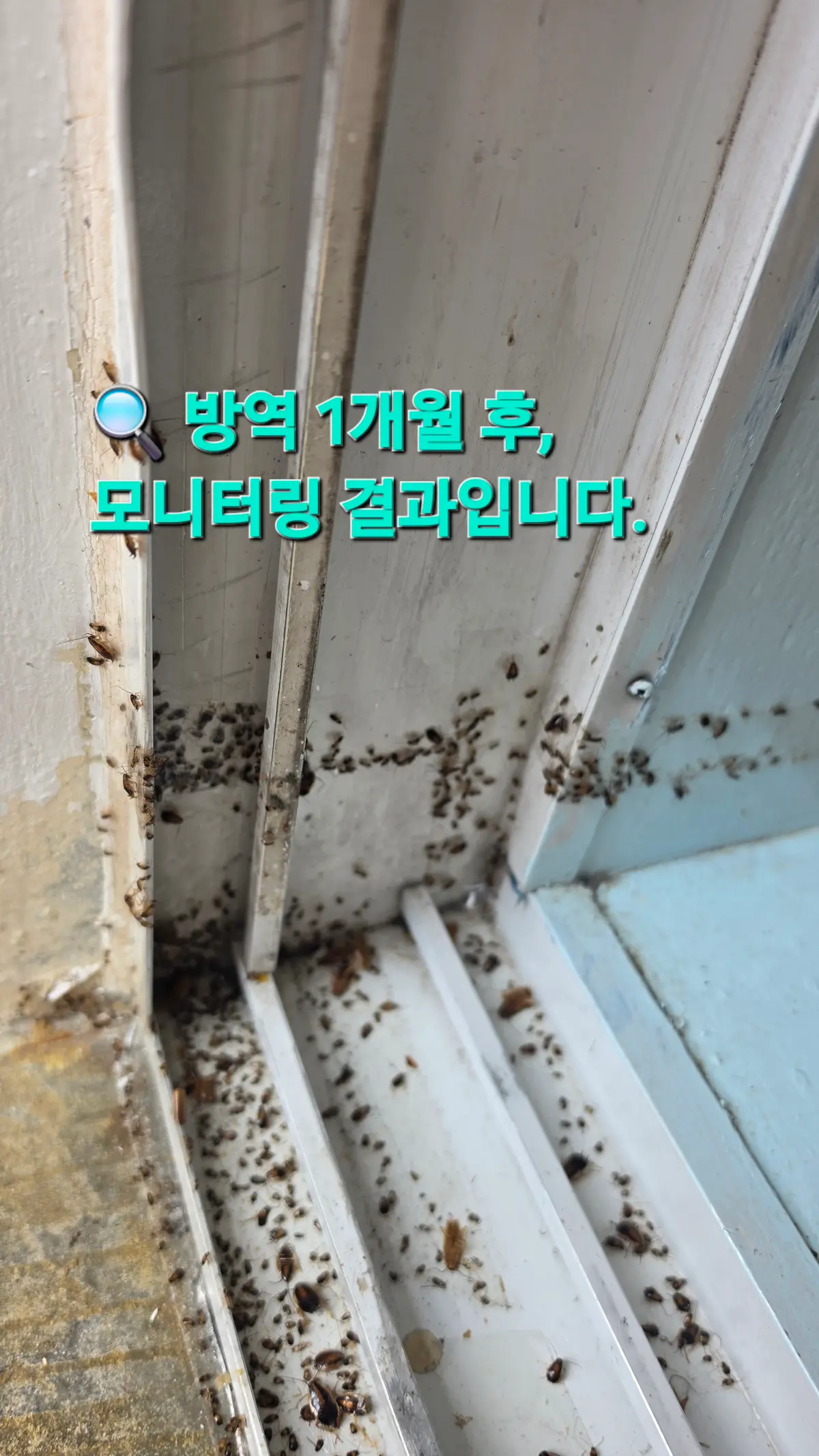 이미지 22