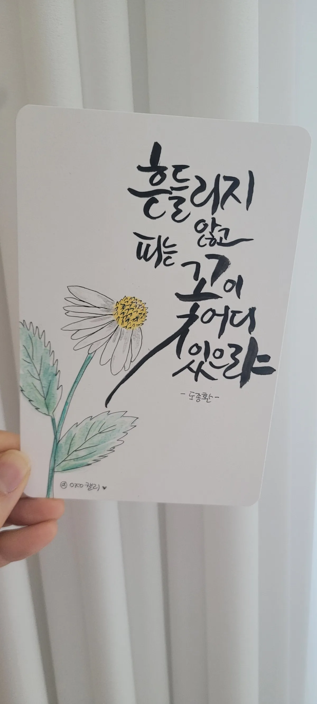이미지 9