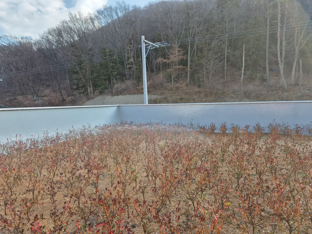 이미지 20