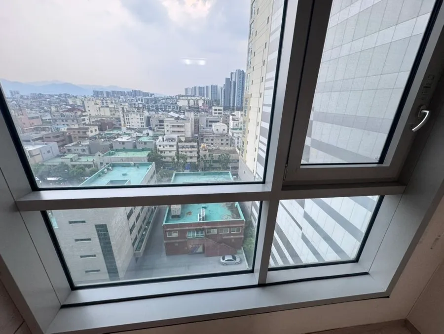 이미지 11