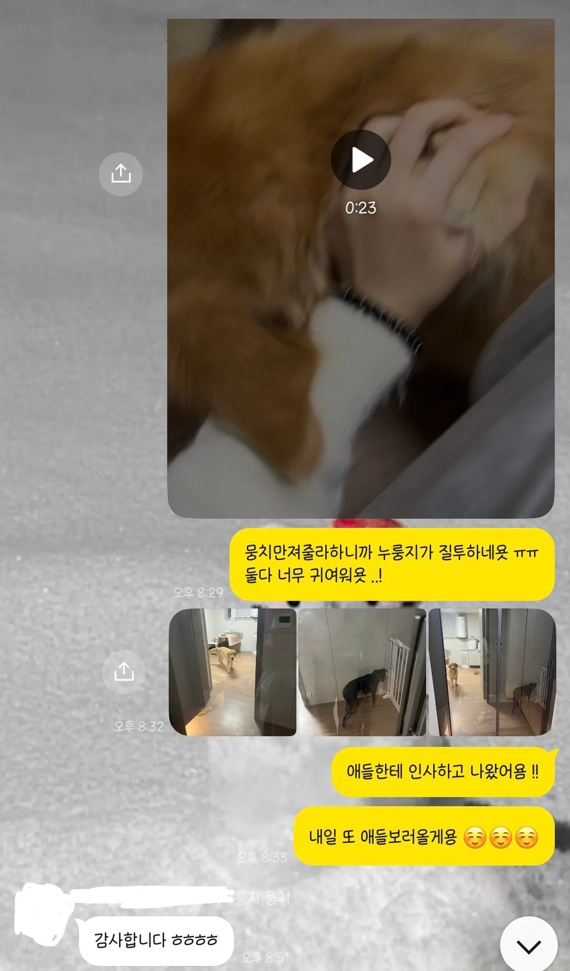 이미지 5