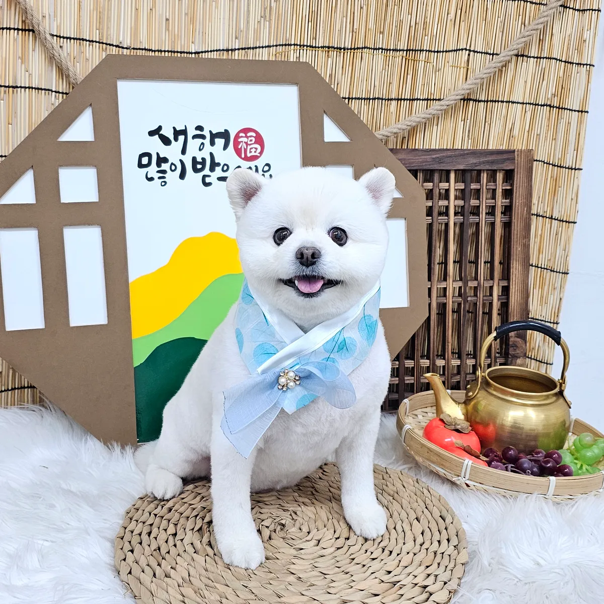 이미지 4