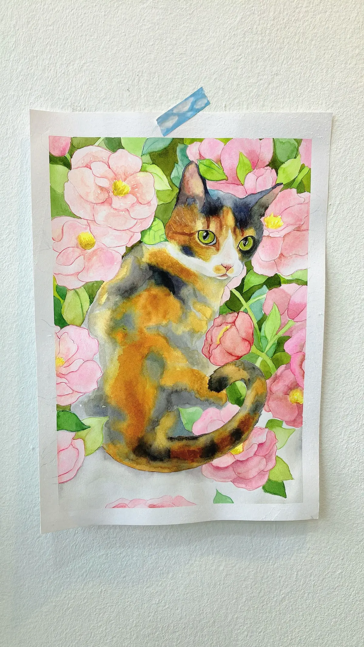 이미지 5