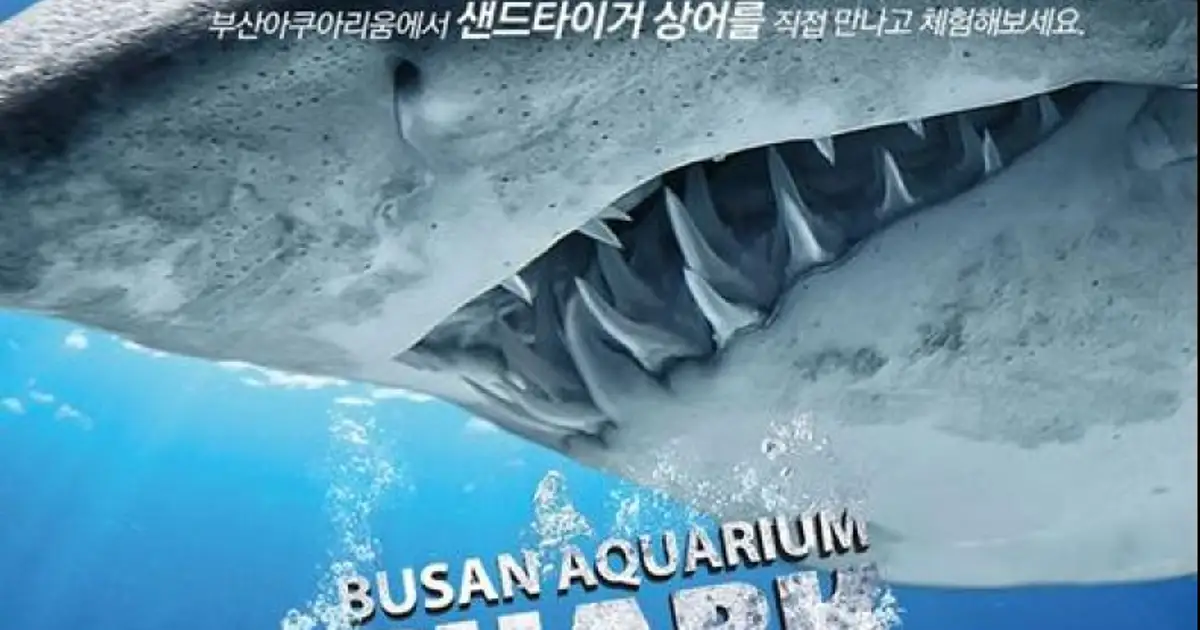 광고 홍보 토탈 디자인 전문 / GG커뮤니케이션#1 - 숨고, 숨은고수 광고 홍보 토탈 디자인 전문