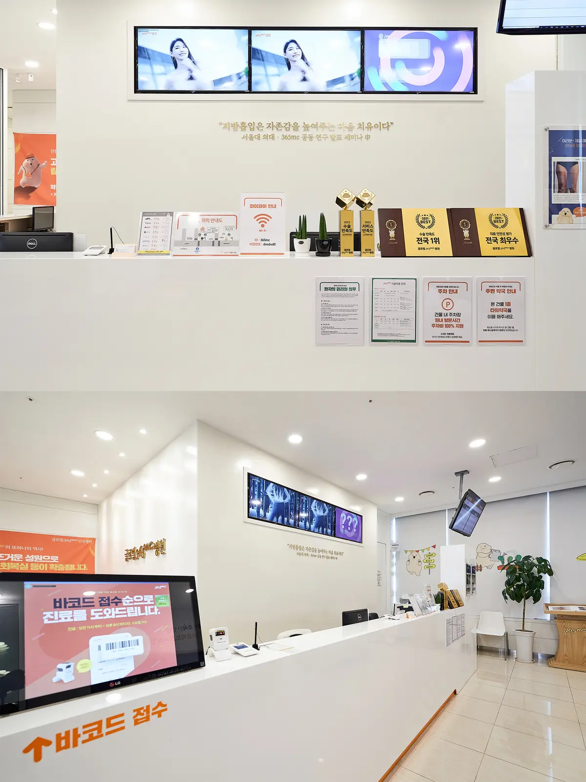 이미지 5