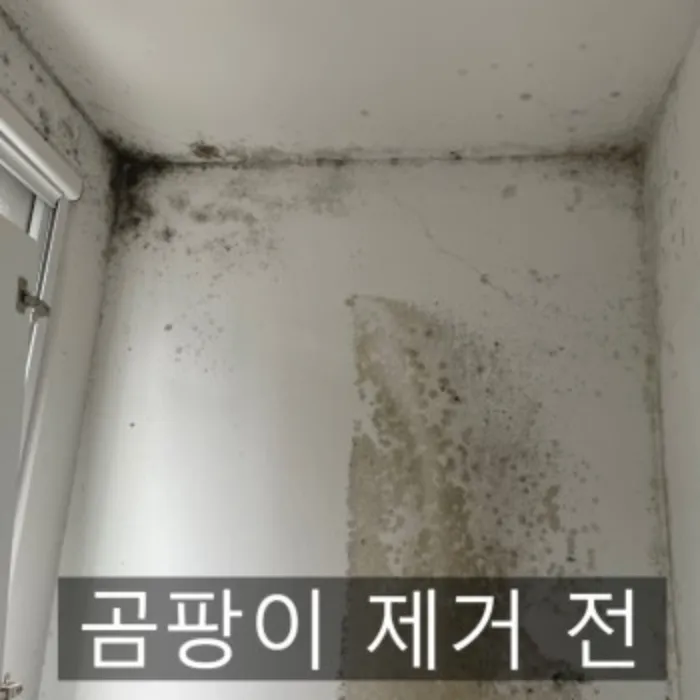 이미지 5