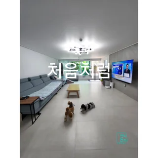 처음처럼~  이사 후 정리정돈(정리수납/집정리)