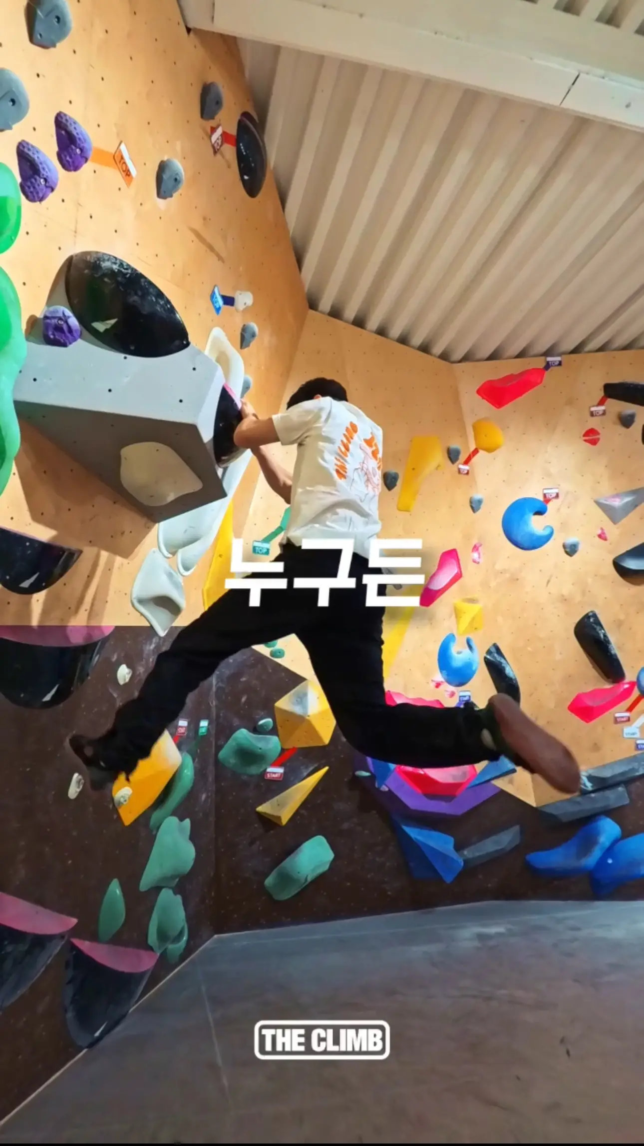 이미지 5