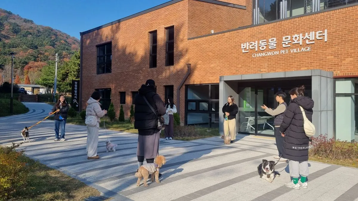 이미지 7