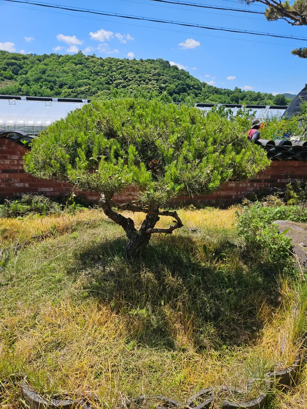 이미지 6