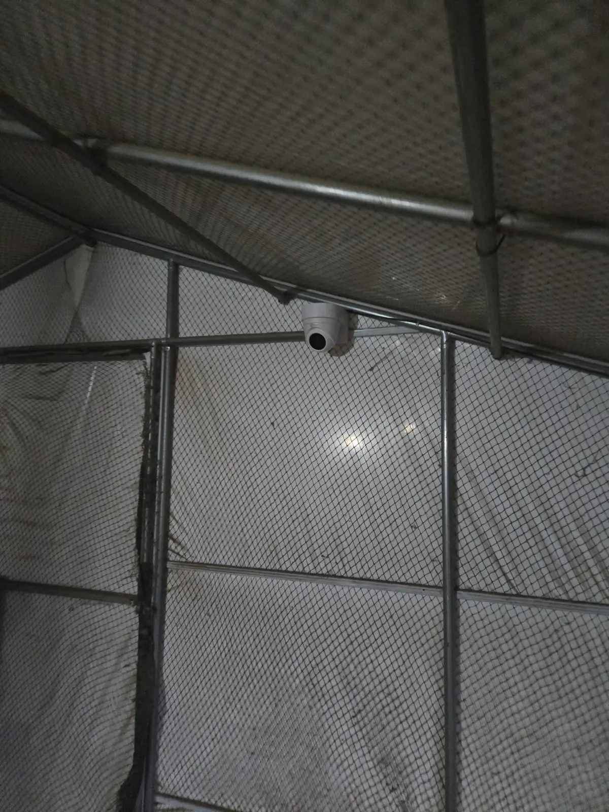 이미지 10