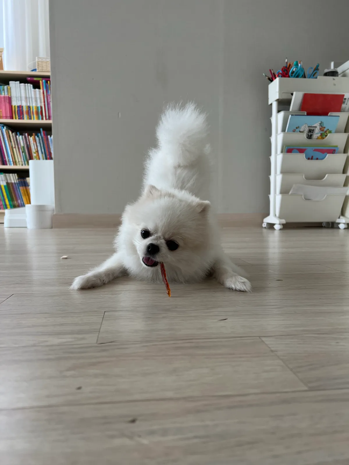 이미지 6
