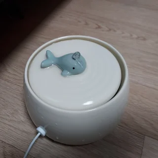 캣시터_부천시