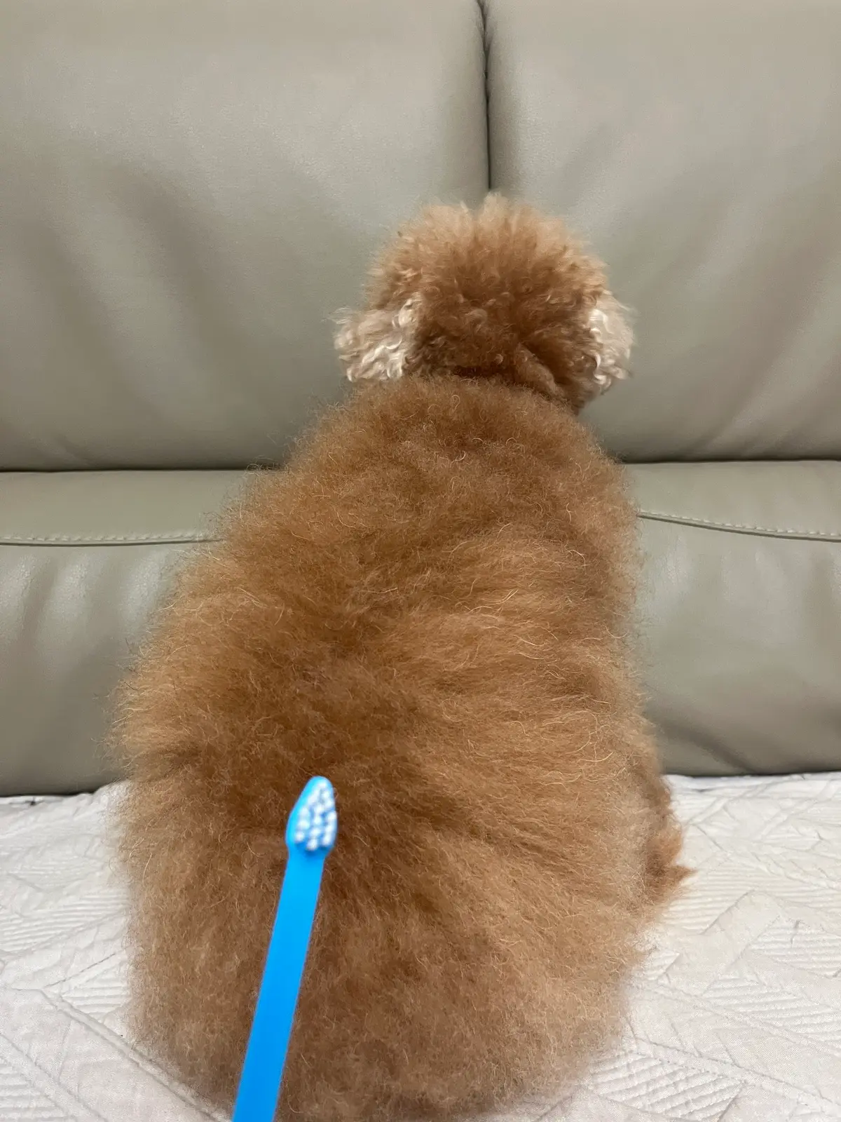 이미지 4