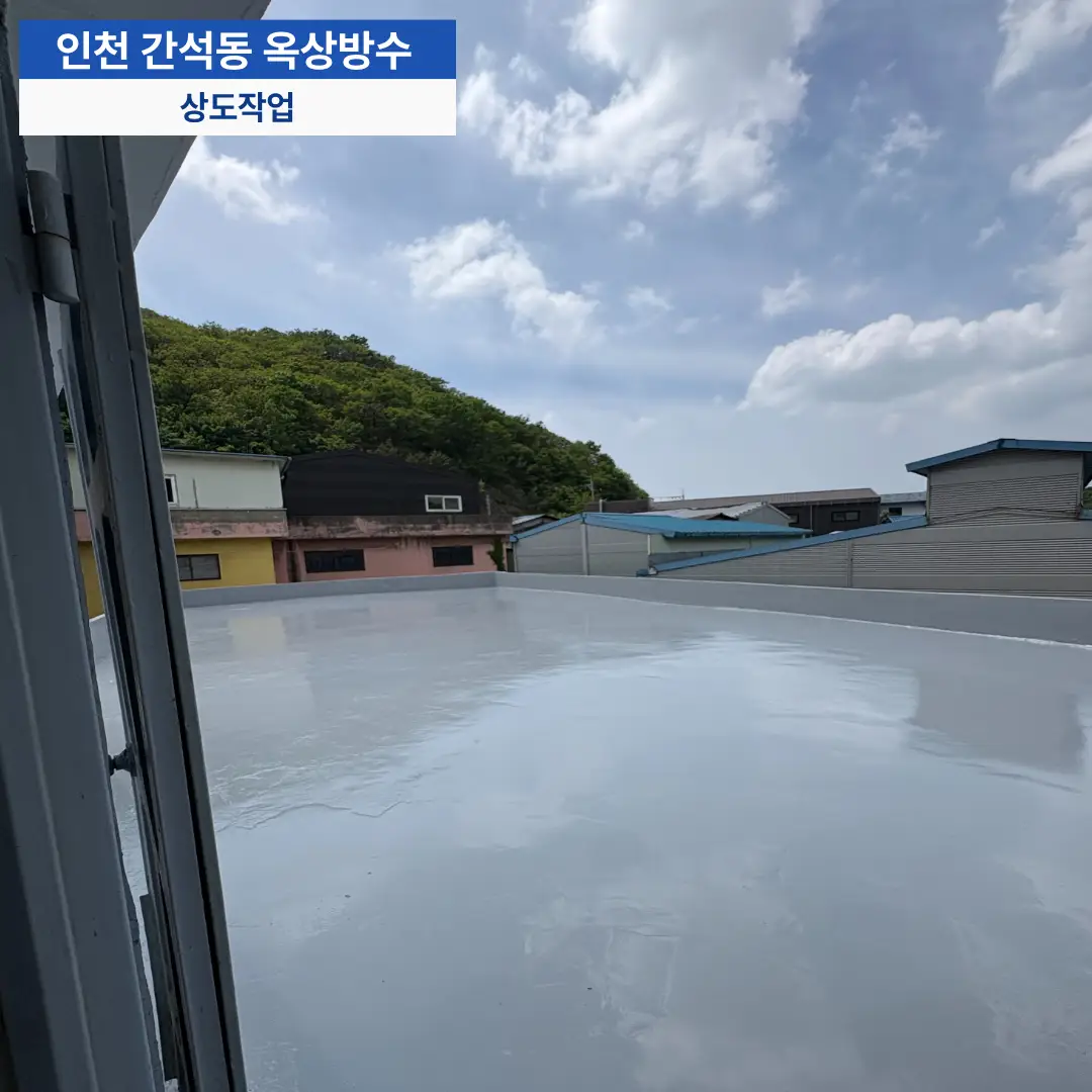 이미지 18