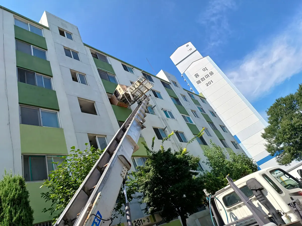 이미지 6
