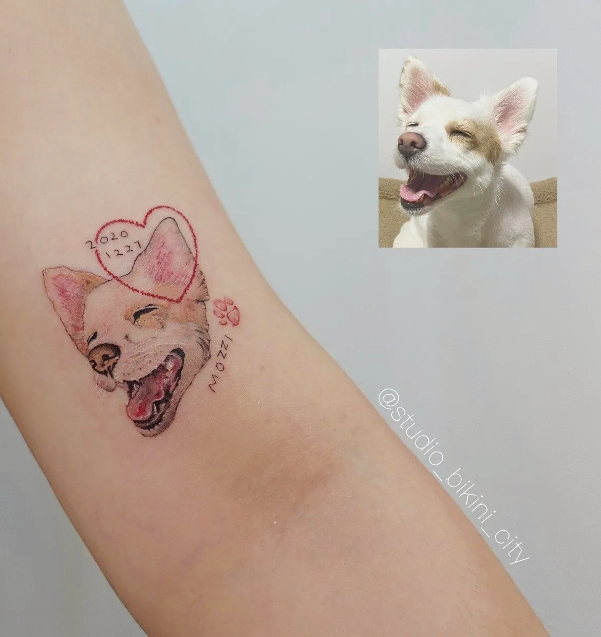 포트폴리오 이미지