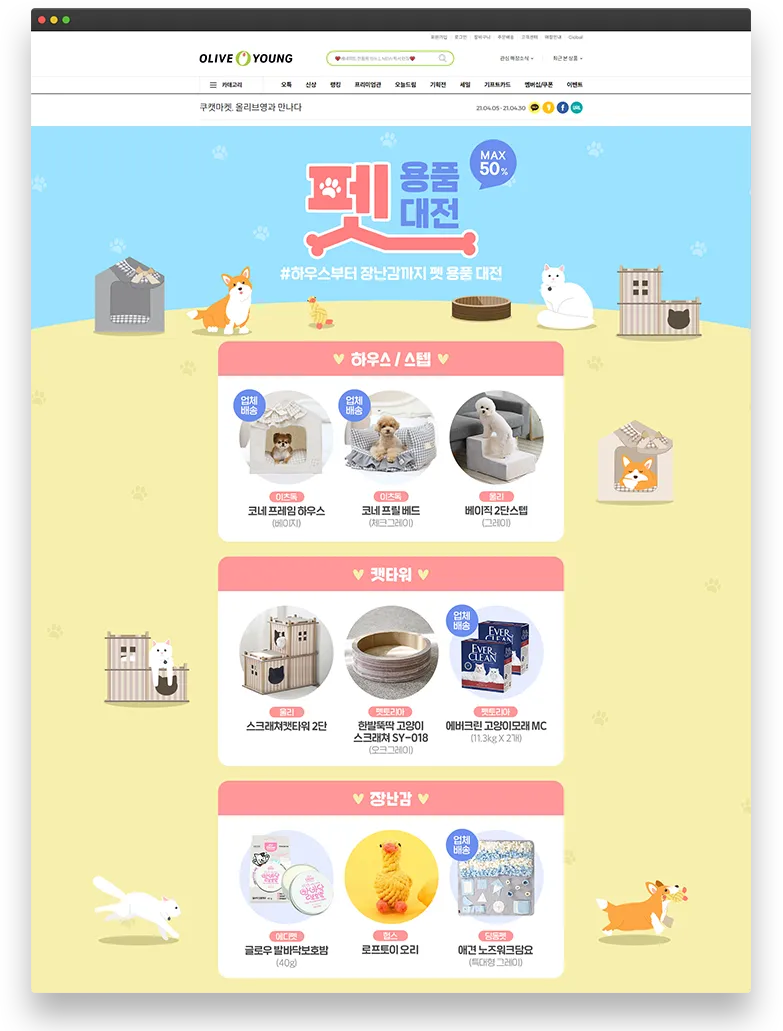 이미지 5