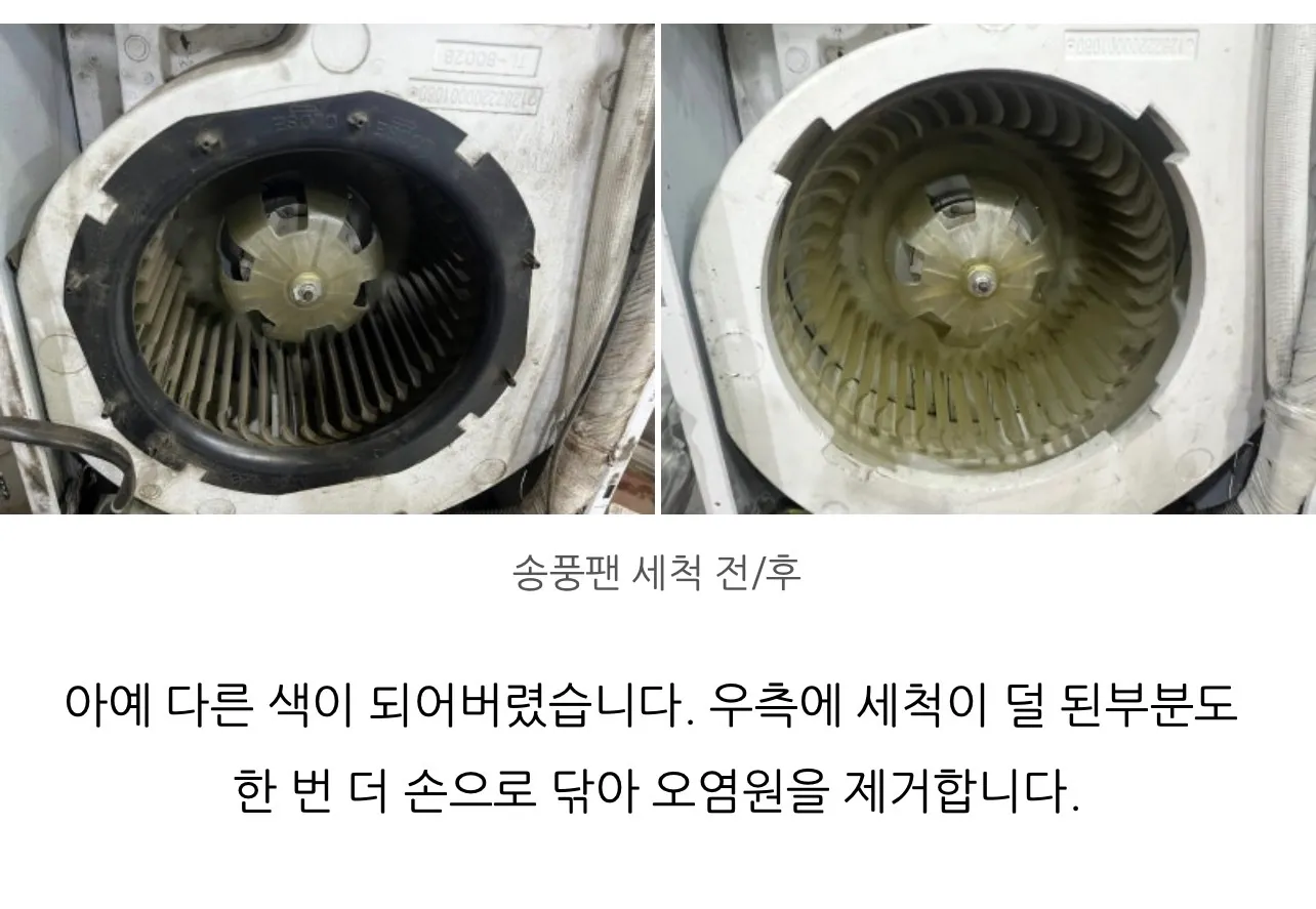 이미지 14