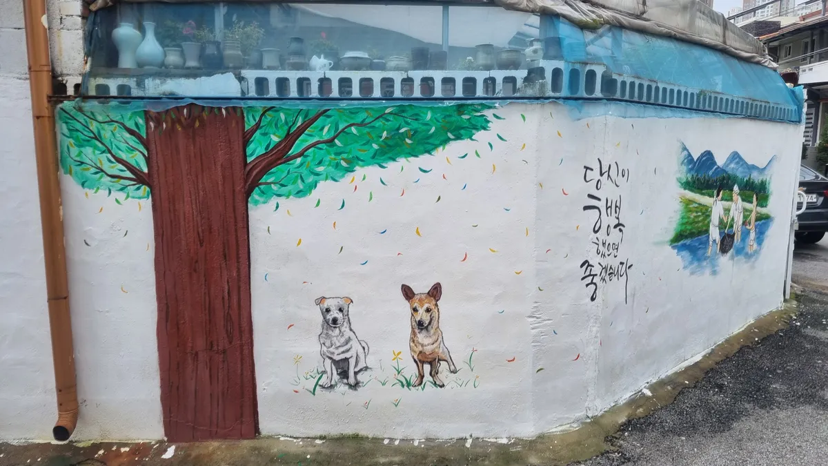 이미지 16