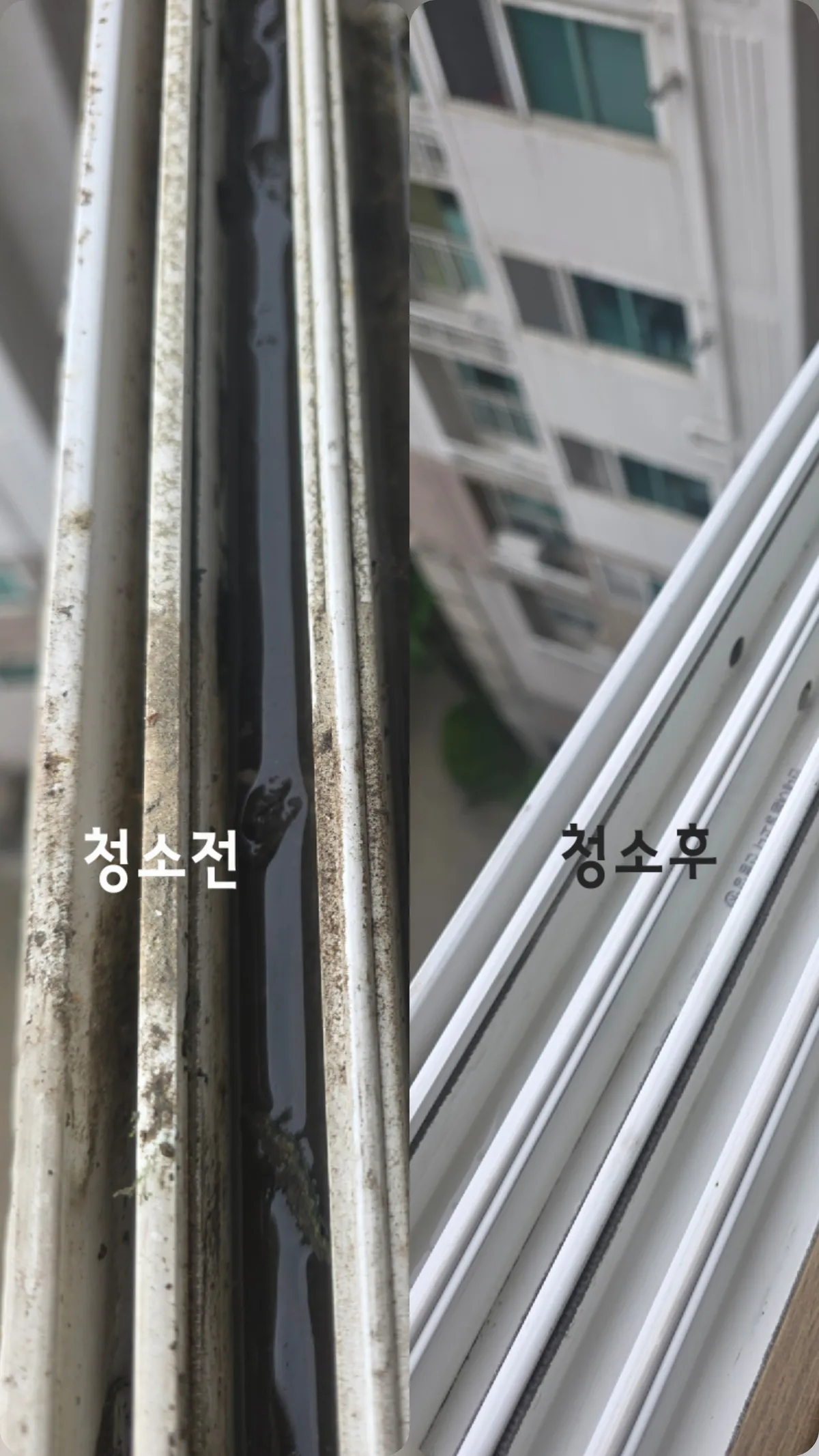 이미지 8