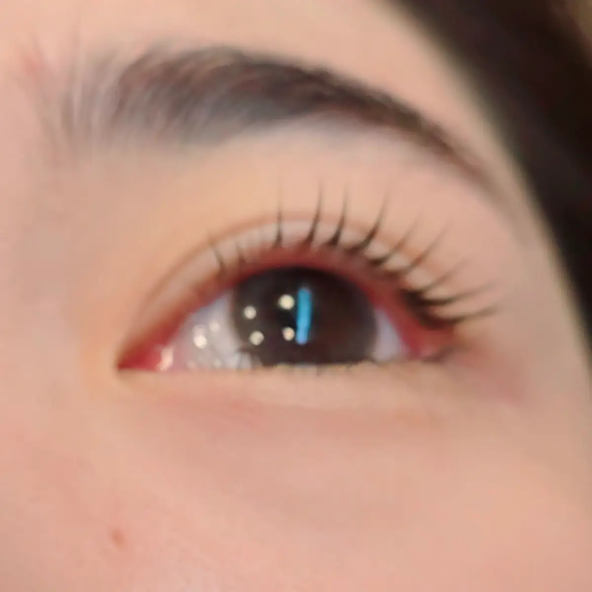 이미지 5