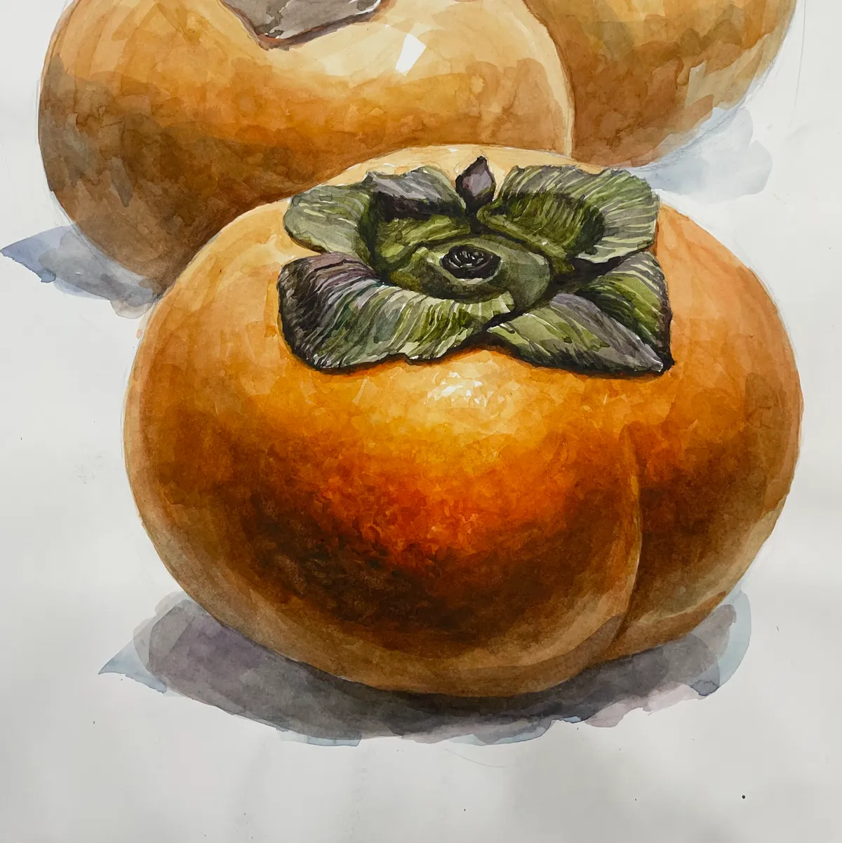 이미지 9