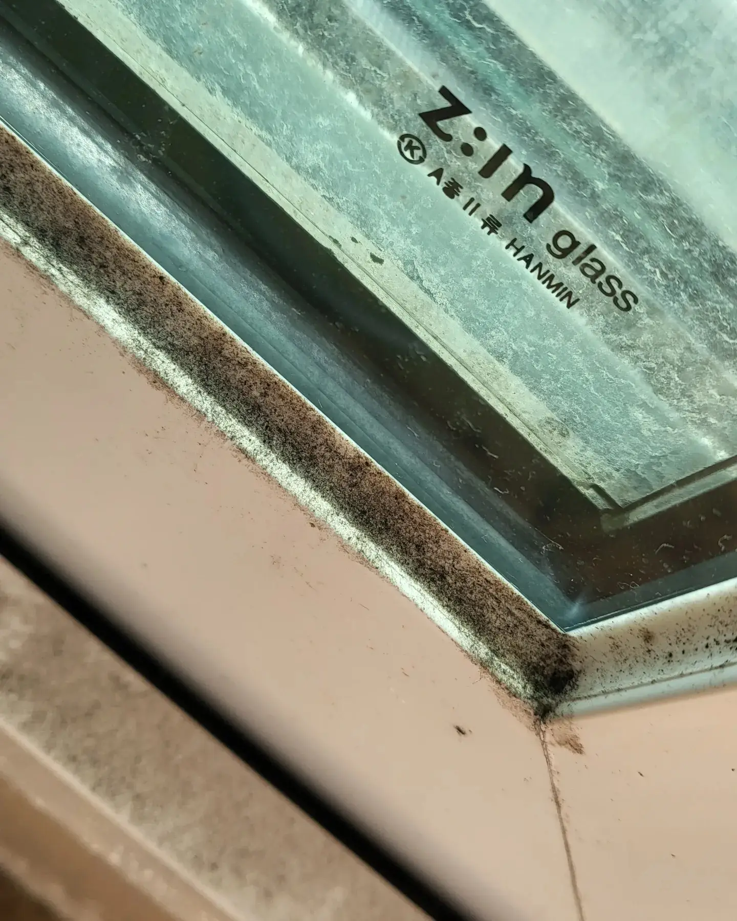 이미지 7