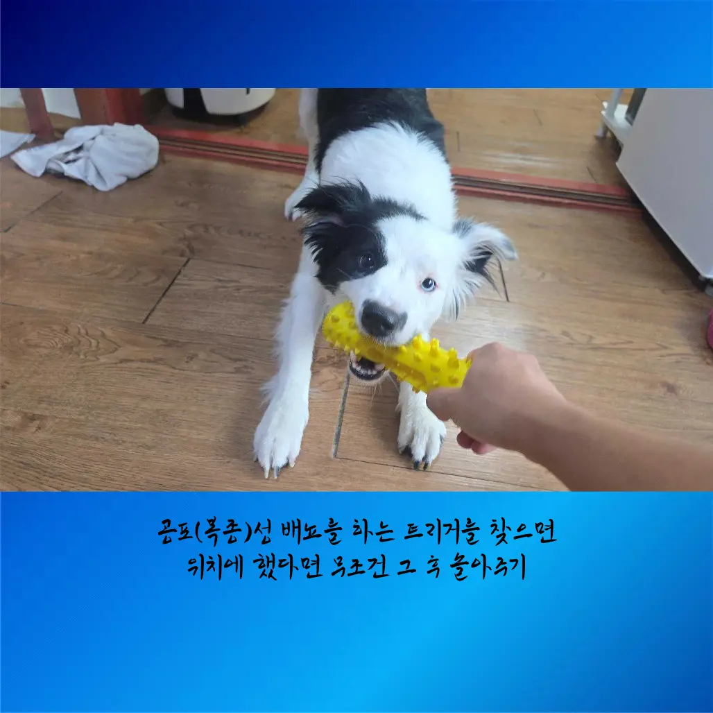 이미지 8