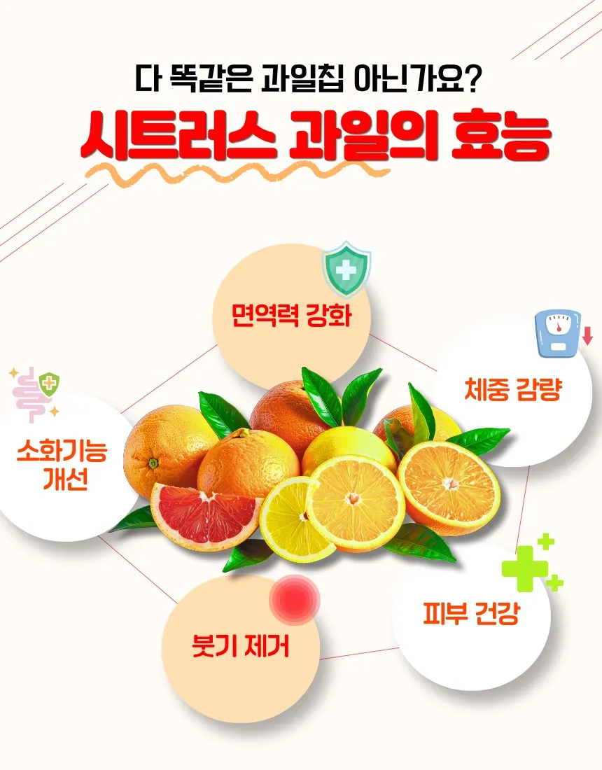 이미지 4