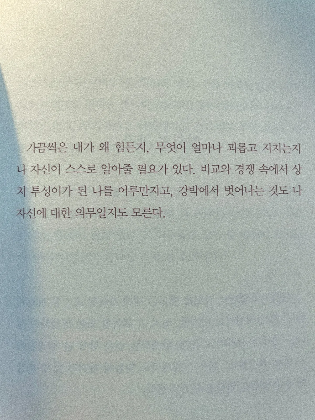 이미지 5