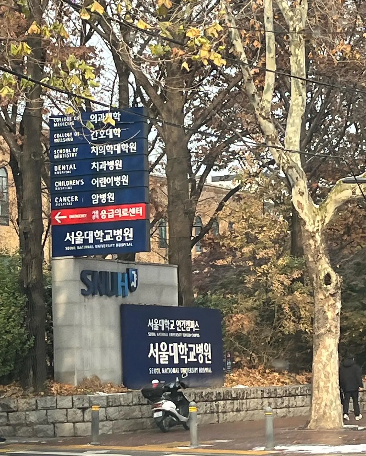 이미지 8