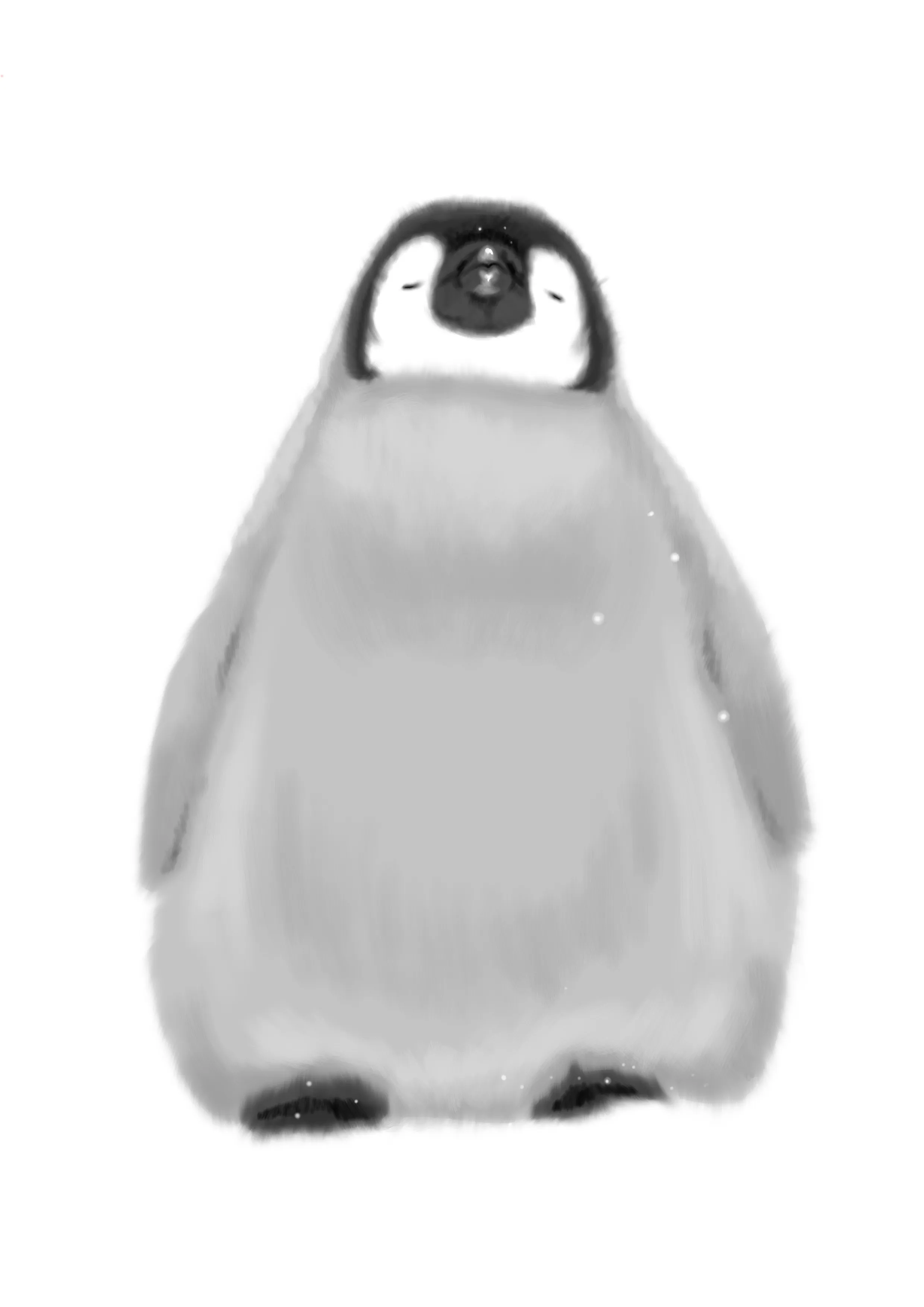 이미지 3