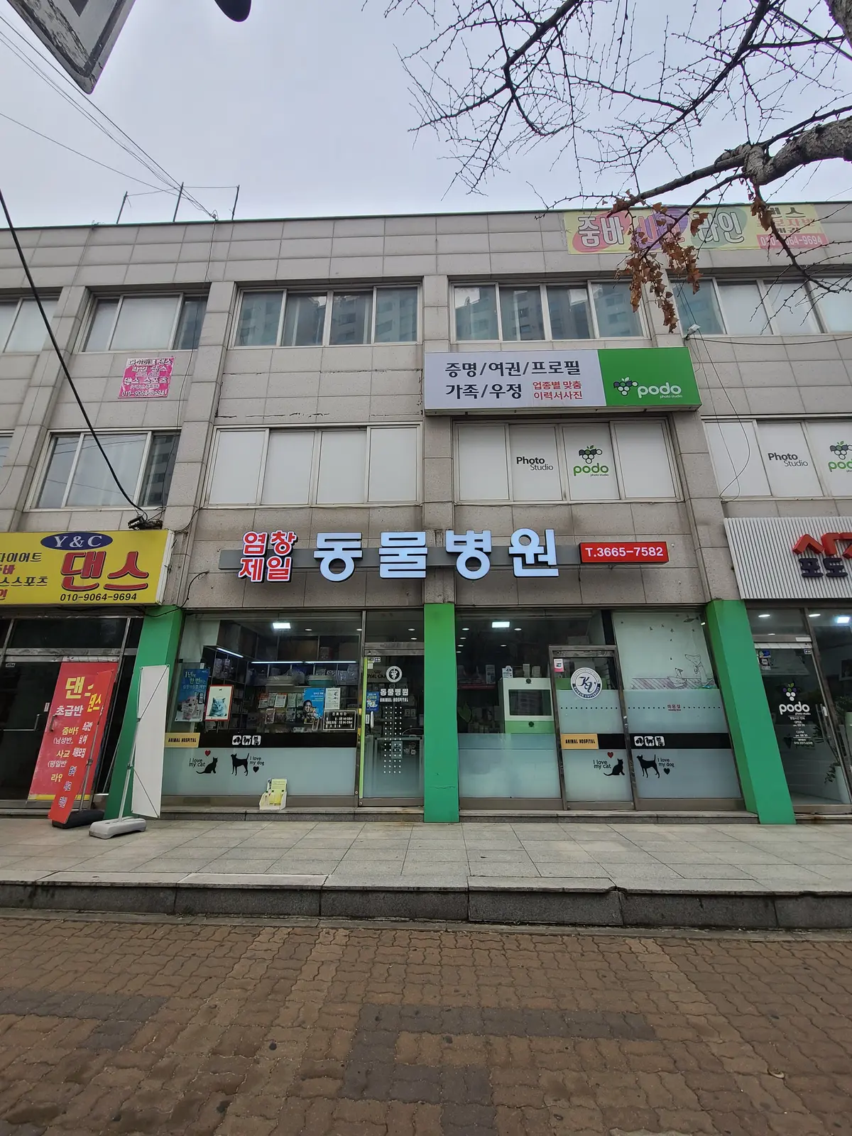 포트폴리오 이미지