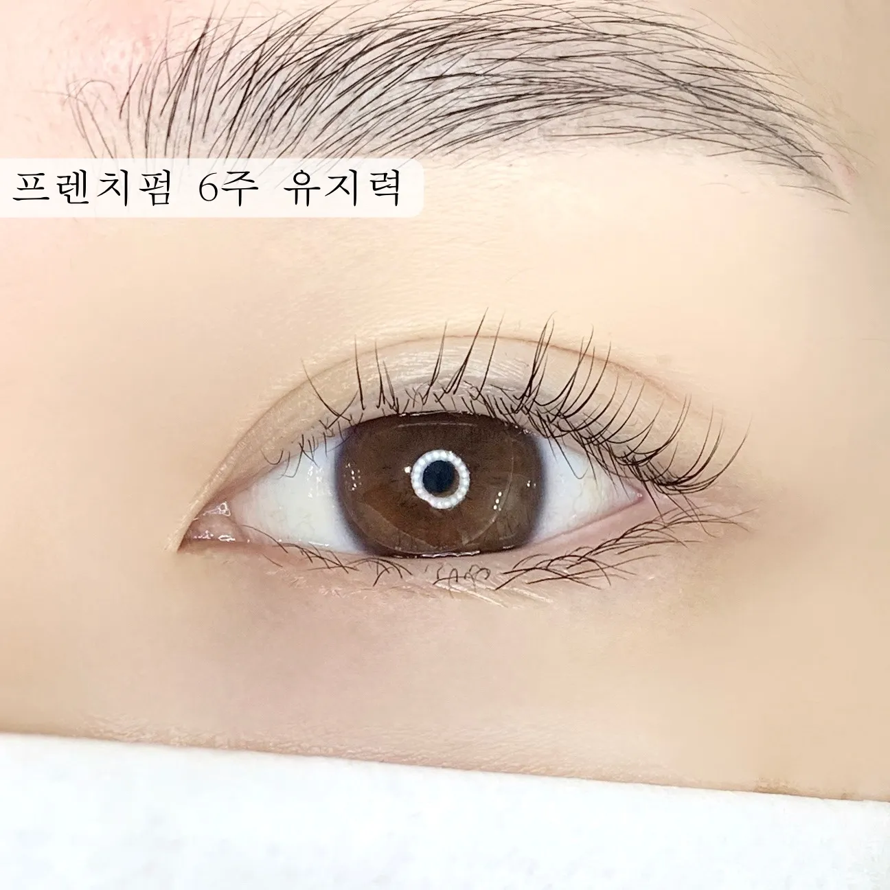 이미지 10