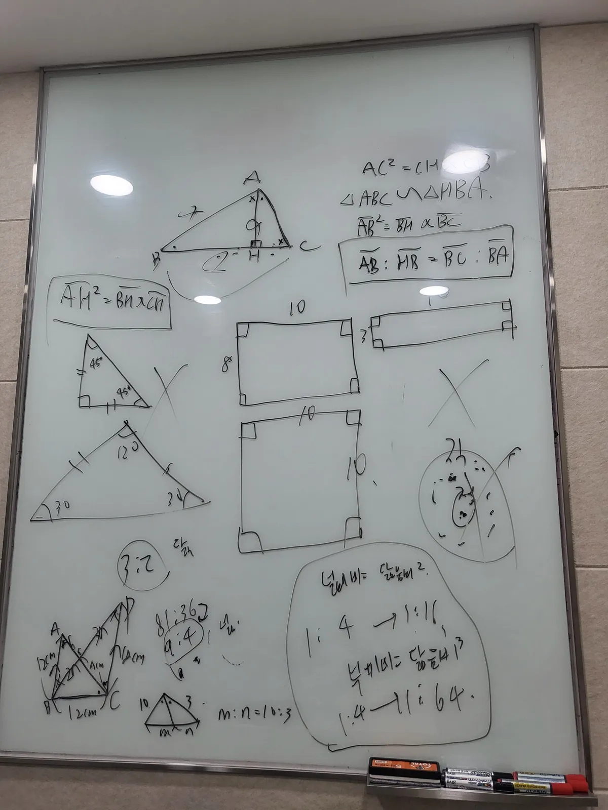 이미지 5