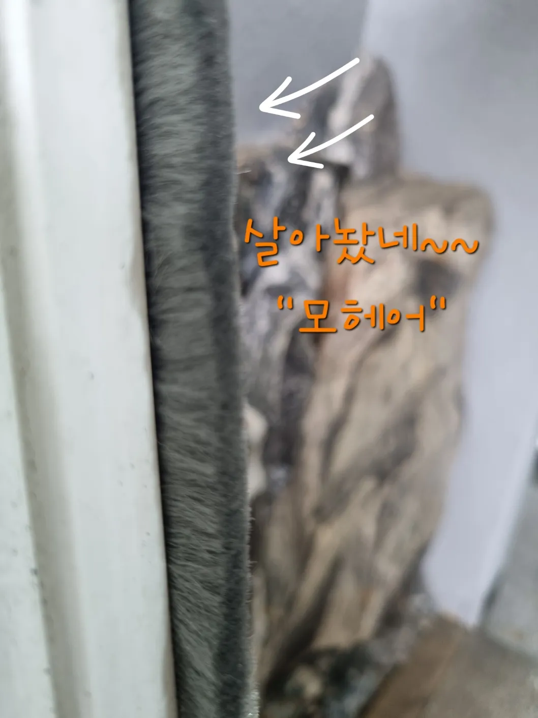 이미지 11
