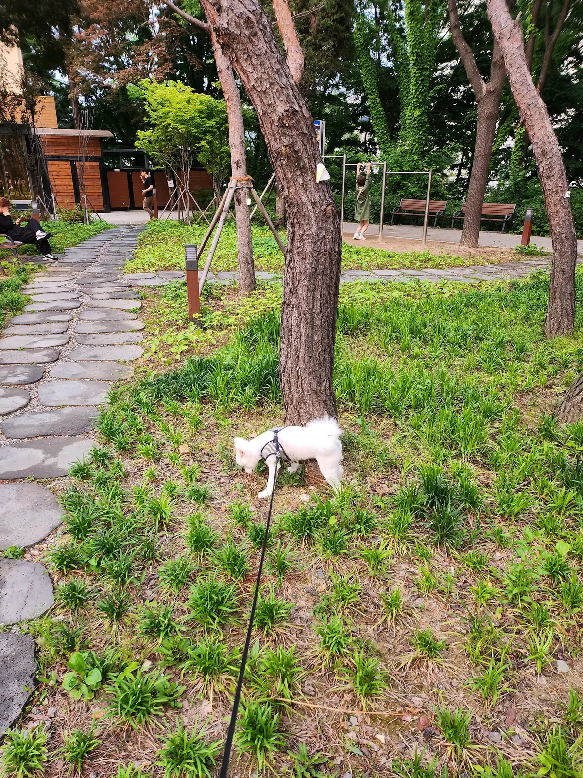 이미지 6